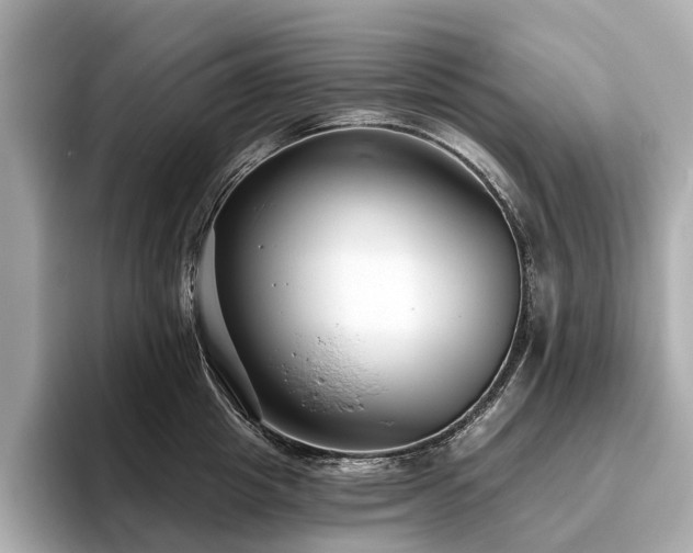 X0000096630857200802051105