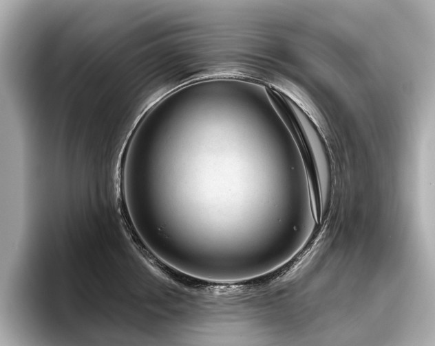 X0000096630858200802051105