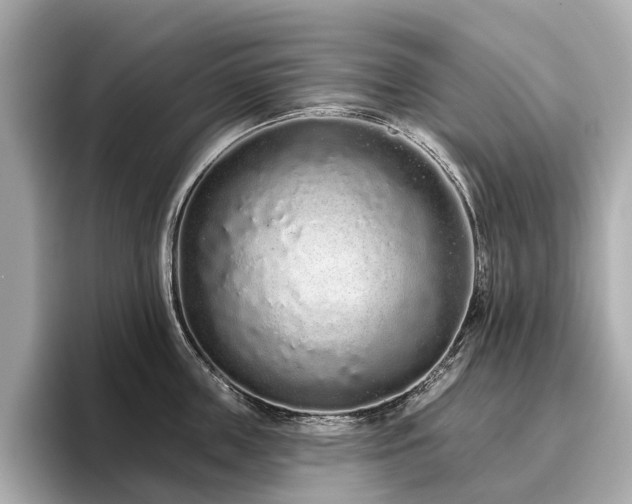 X0000096630859200802051105
