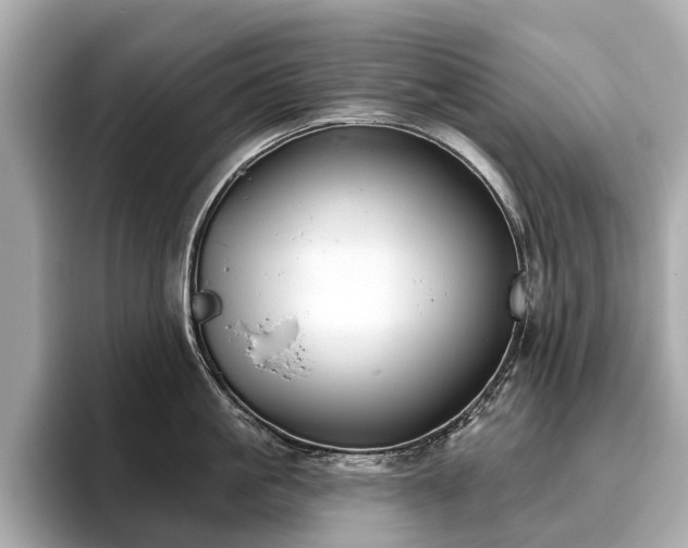 X0000096630861200802051105