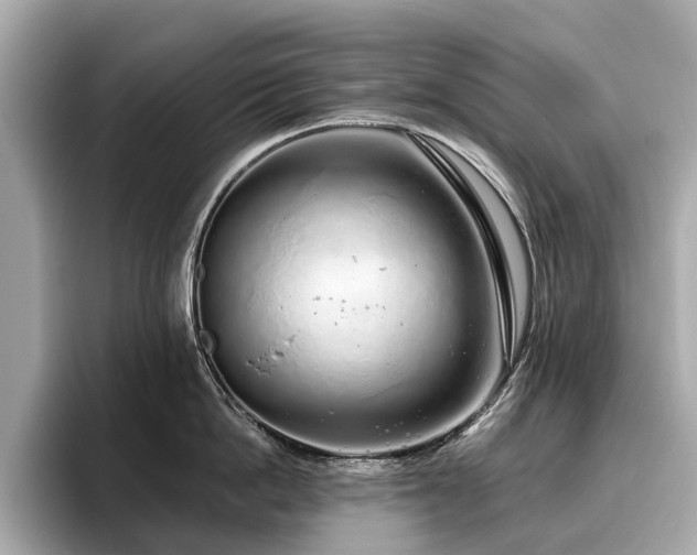 X0000096630862200802051105