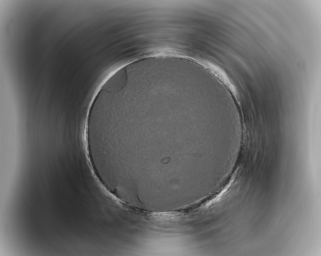 X0000096630863200802051105