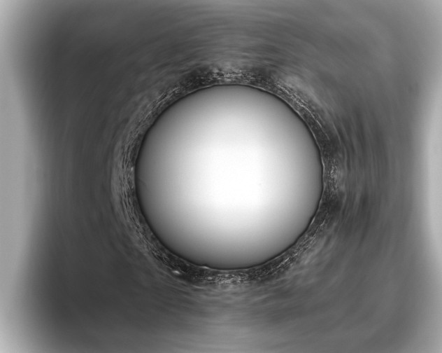 X0000096630865200802051105