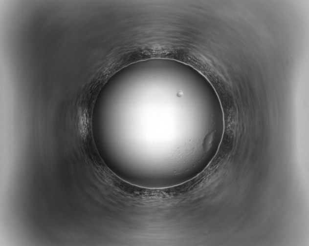 X0000096630866200802051105