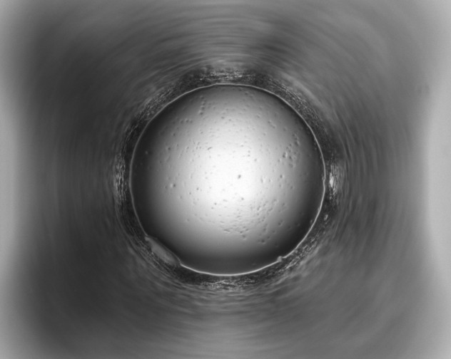X0000096630867200802051105