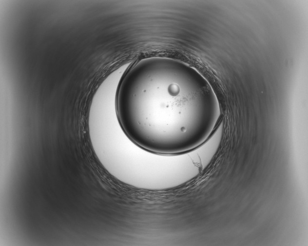 X0000096630868200802051105