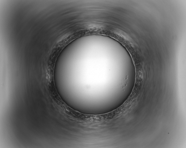 X0000096630869200802051105