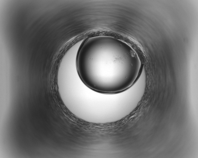 X0000096630872200802051105