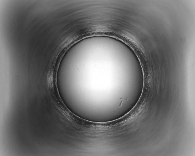 X0000096630873200802051105