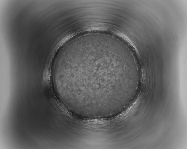 X0000096630874200802051105