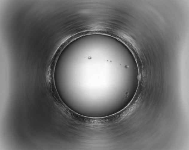 X0000096630875200802051105
