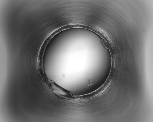 X0000096630876200802051105