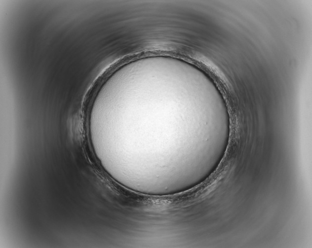 X0000096630878200802051105