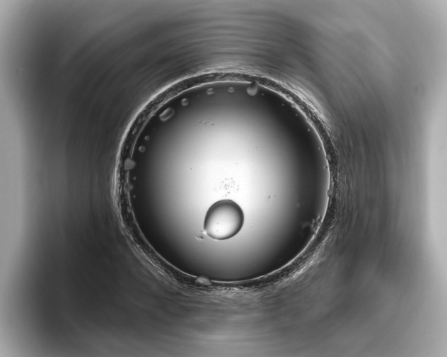 X0000096630880200802051105