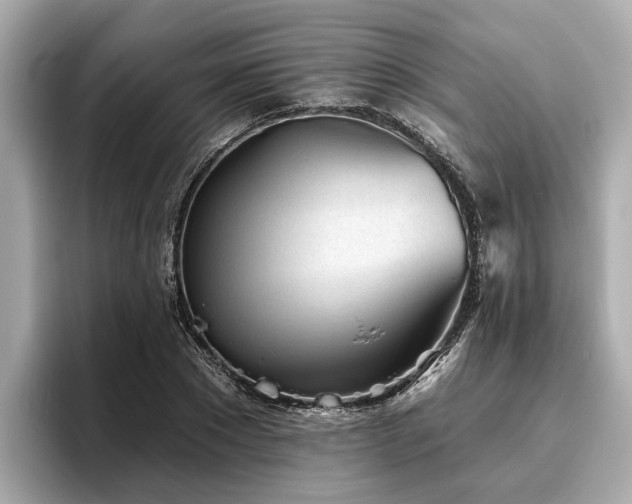 X0000096630881200802051104