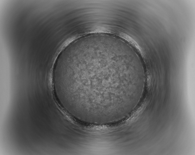 X0000096630882200802051104
