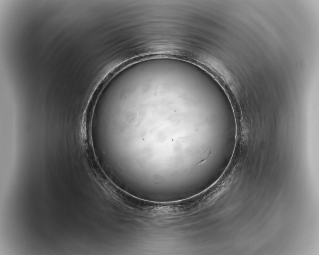 X0000096630883200802051104