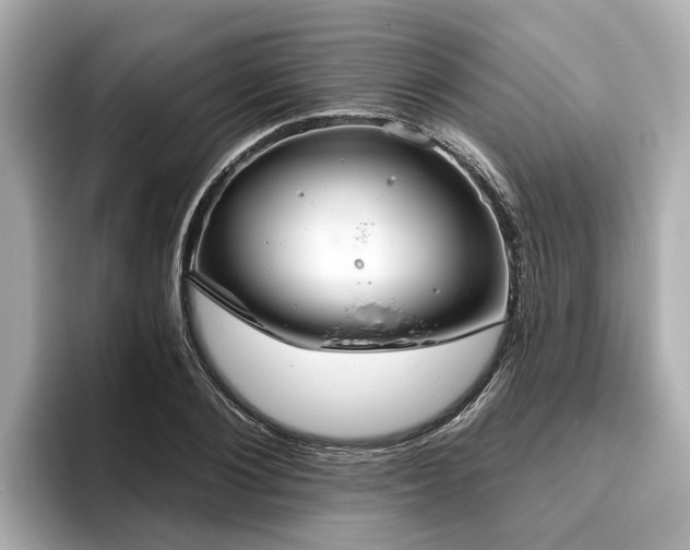 X0000096630884200802051104