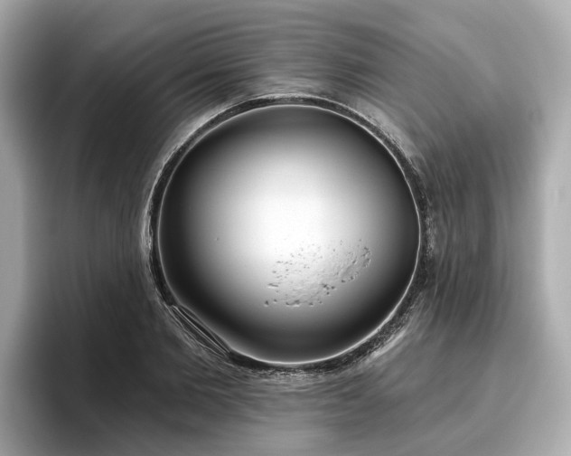 X0000096630885200802051104