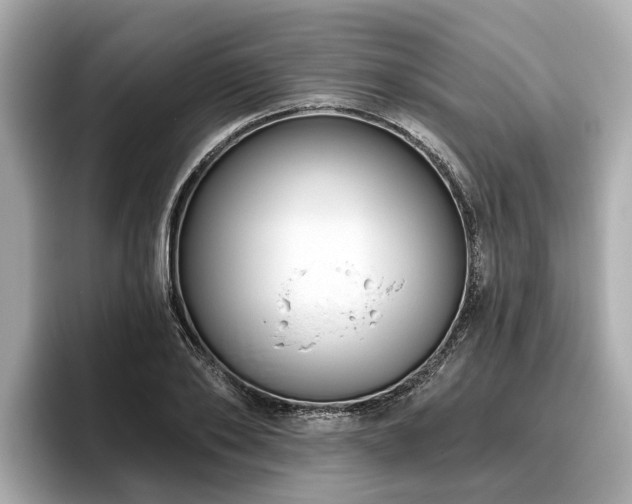 X0000096630886200802051104
