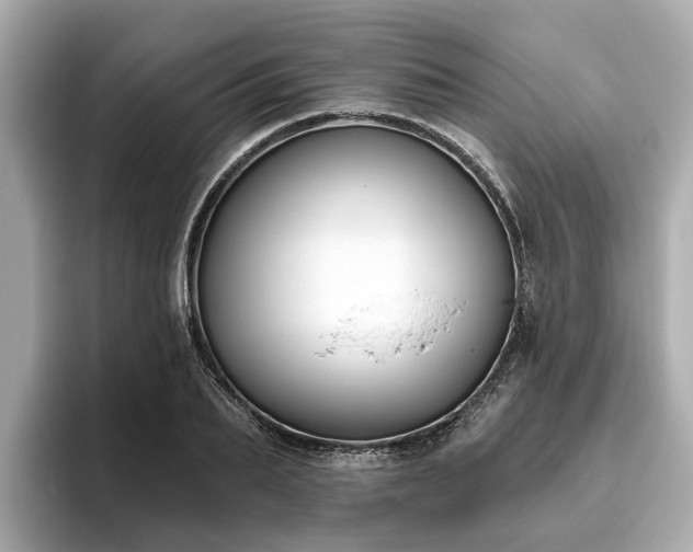 X0000096630887200802051104