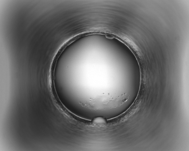 X0000096630888200802051104