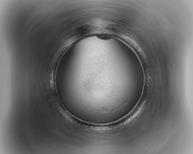 X0000096630889200802051104