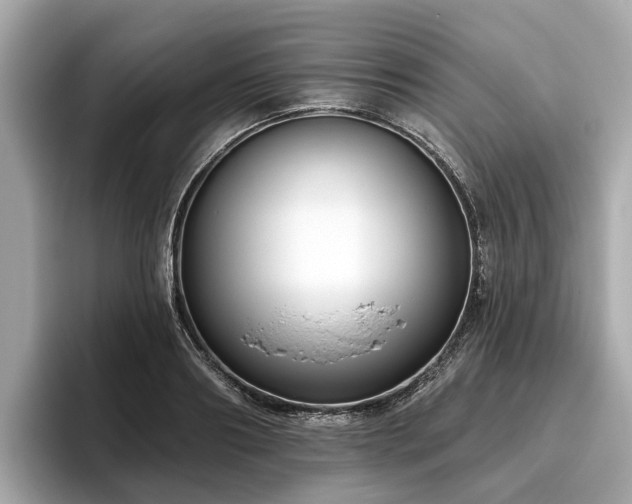 X0000096630890200802051104