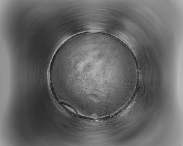 X0000096630891200802051104