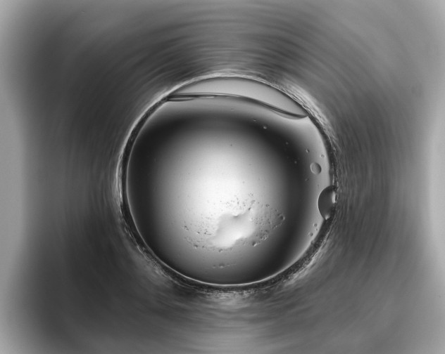 X0000096630892200802051104
