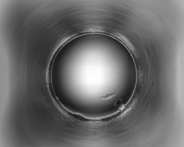 X0000096630893200802051104