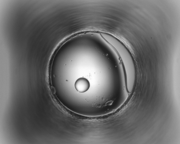 X0000096630896200802051104