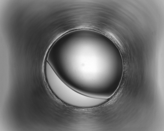 X0000096630900200802051104