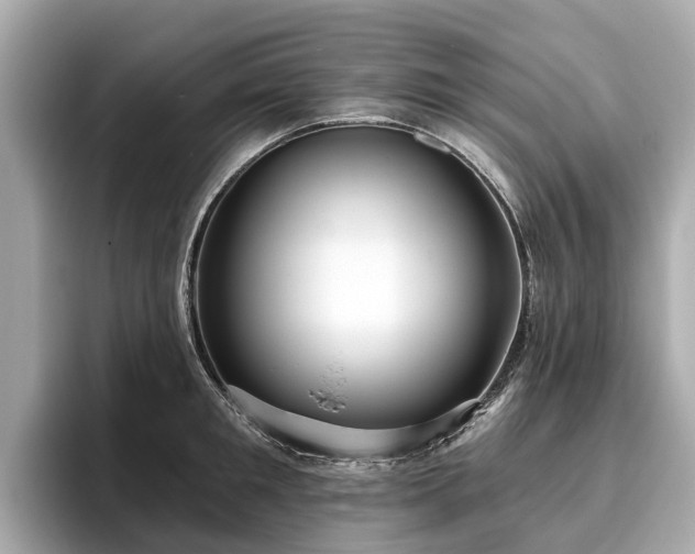 X0000096630901200802051104