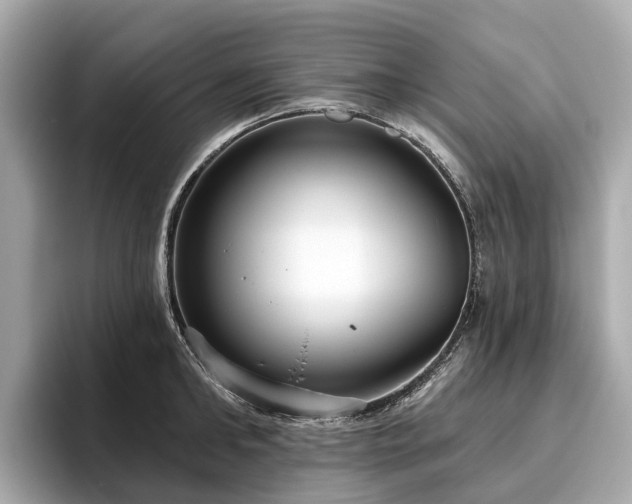 X0000096630902200802051104