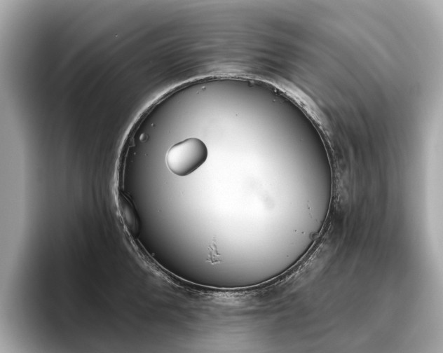 X0000096630904200802051104