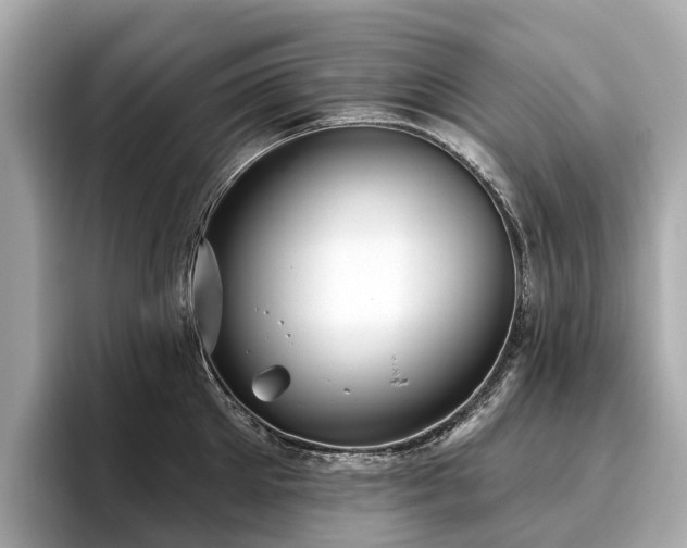 X0000096630905200802051104