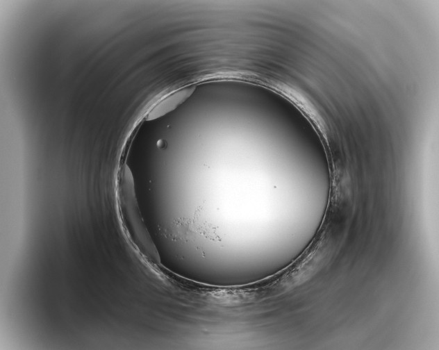X0000096630906200802051104