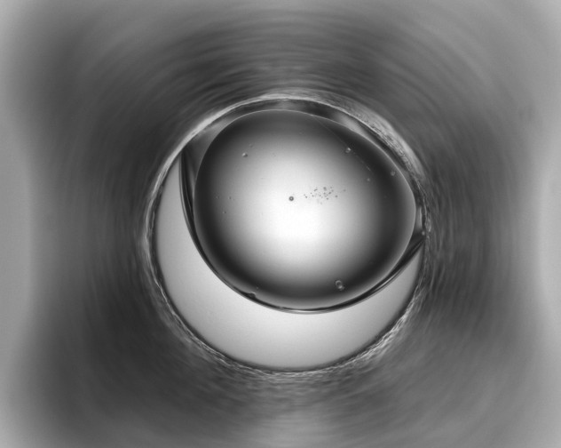 X0000096630908200802051104