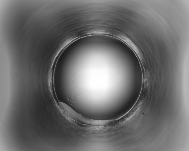 X0000096630909200802051104
