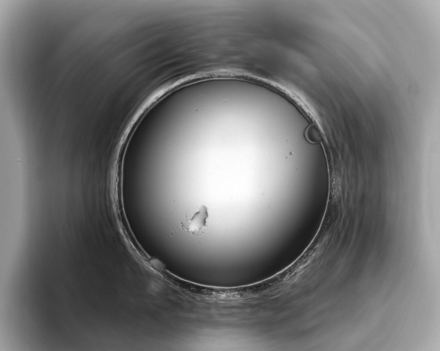 X0000096630911200802051104