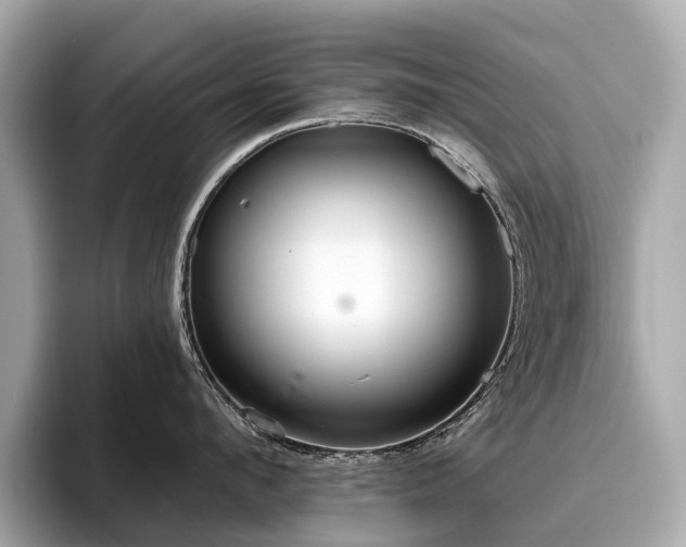 X0000096630912200802051104
