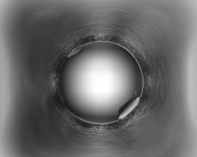 X0000096630914200802051103