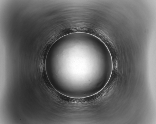 X0000096630915200802051103