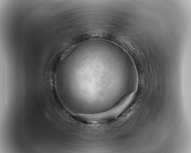 X0000096630916200802051103