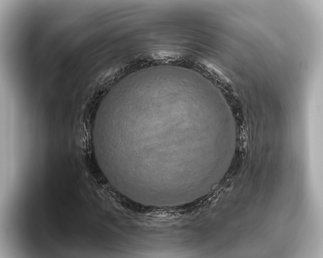 X0000096630917200802051103