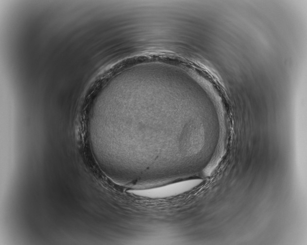 X0000096630920200802051104