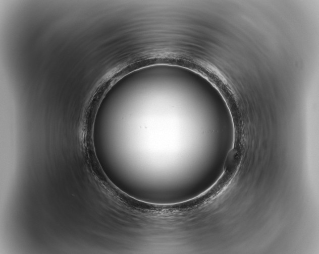 X0000096630922200802051104