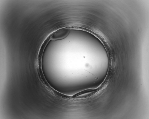 X0000096630924200802051104