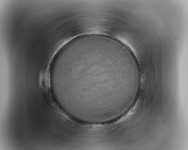 X0000096630925200802051104